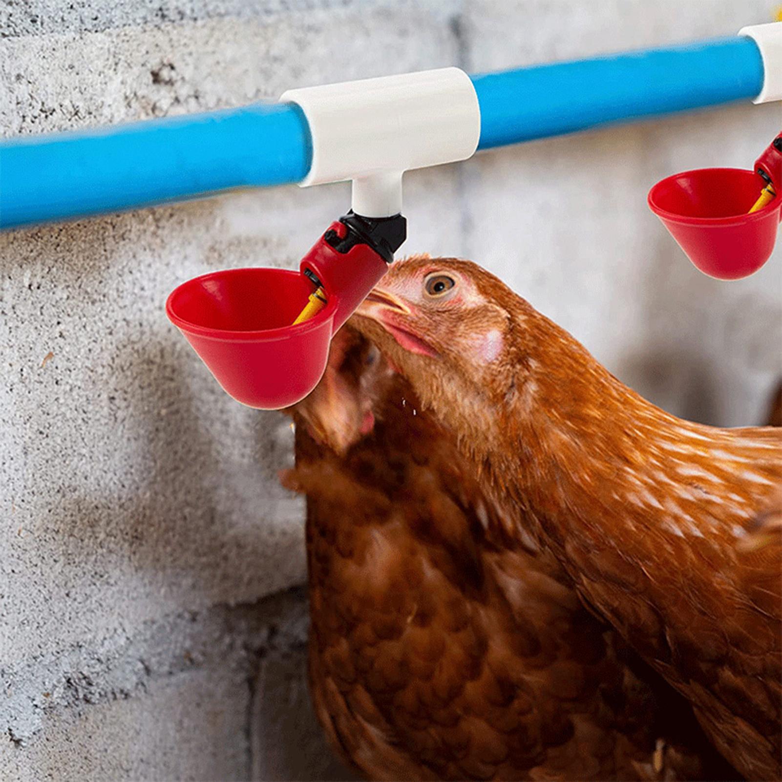 Chicken Nipple Drinker - Złączki trójnikowe PVC do poidła dla