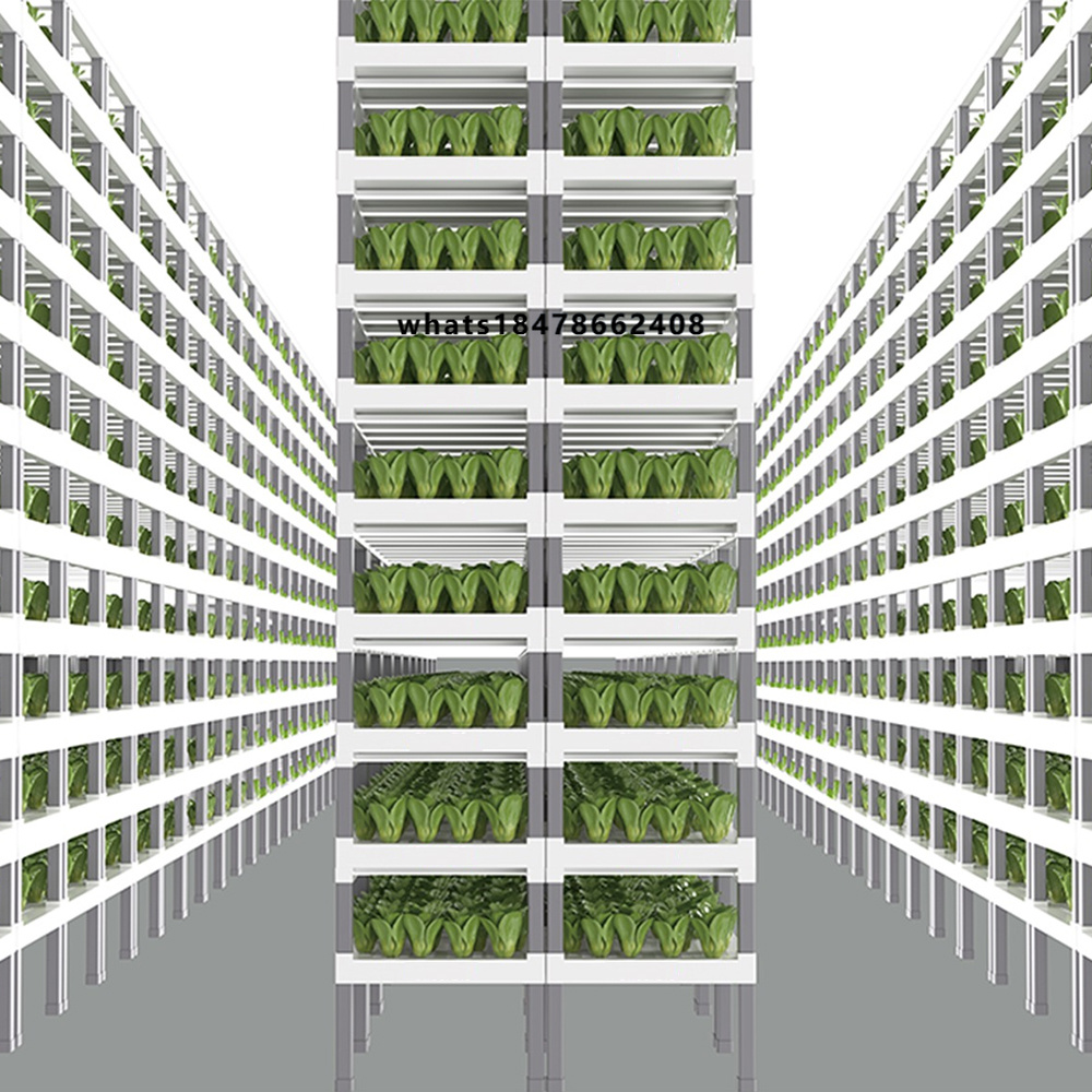 Farming A - Sterowany aplikacją inteligentny system hydroponiczny do