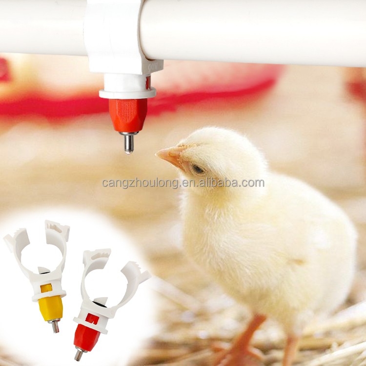 Chicken Nipple Drinker - YYW LM44 Gorąca Sprzedaż Automatyczny Poidło