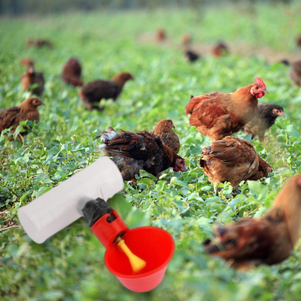 Chicken Nipple Drinker - 6 szt. Trójnik PVC do rur