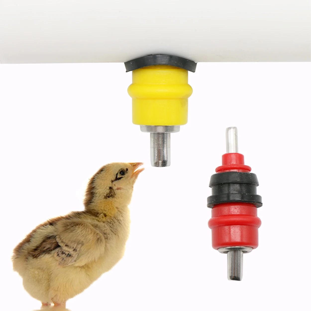 Chicken Nipple Drinker - 10 sztuk przepiórka gołąb poidło dla