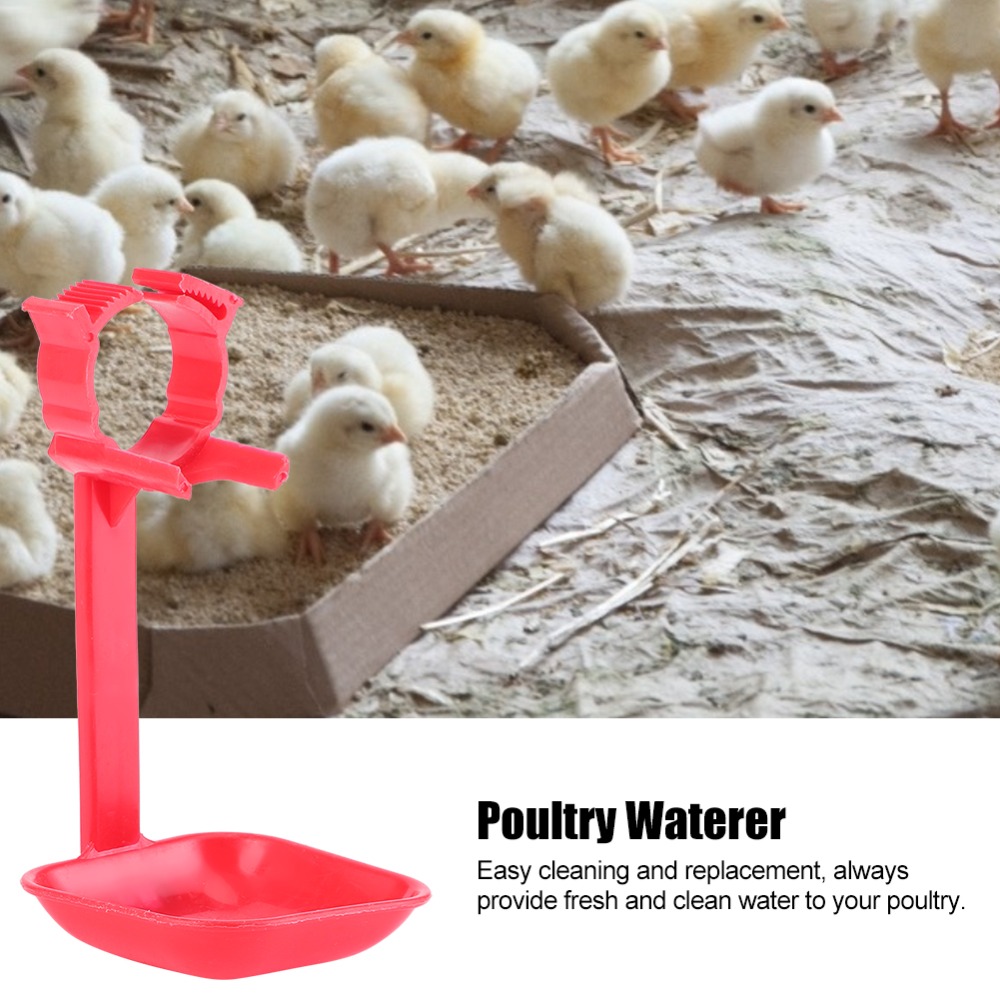 20 sztuk łatwych w montażu pla – Chicken Nipple Drinker recenzja i cena