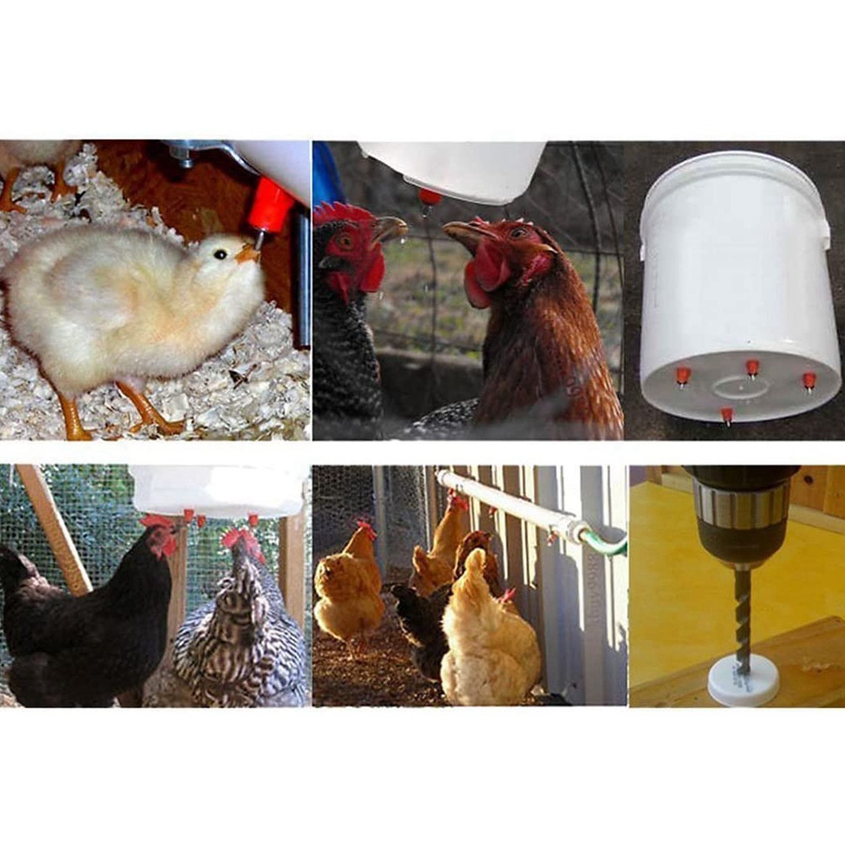 150 szt. Poidło dla drobiu, ku – Chicken Nipple Drinker recenzja i cena