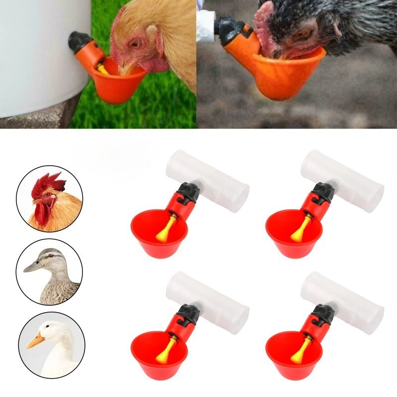 4 szt. Automatyczne poidełka d – Chicken Nipple Drinker recenzja i cena