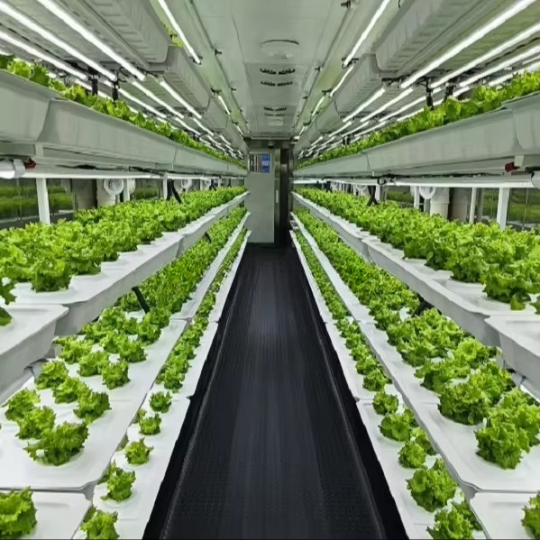 Inteligentny automatyczny syst – Farming A recenzja i cena