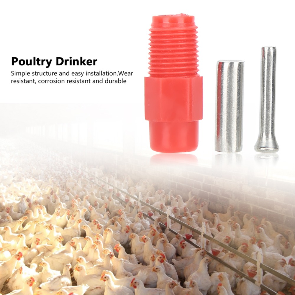 40 szt. Automatycznych poidełe – Chicken Nipple Drinker recenzja i cena