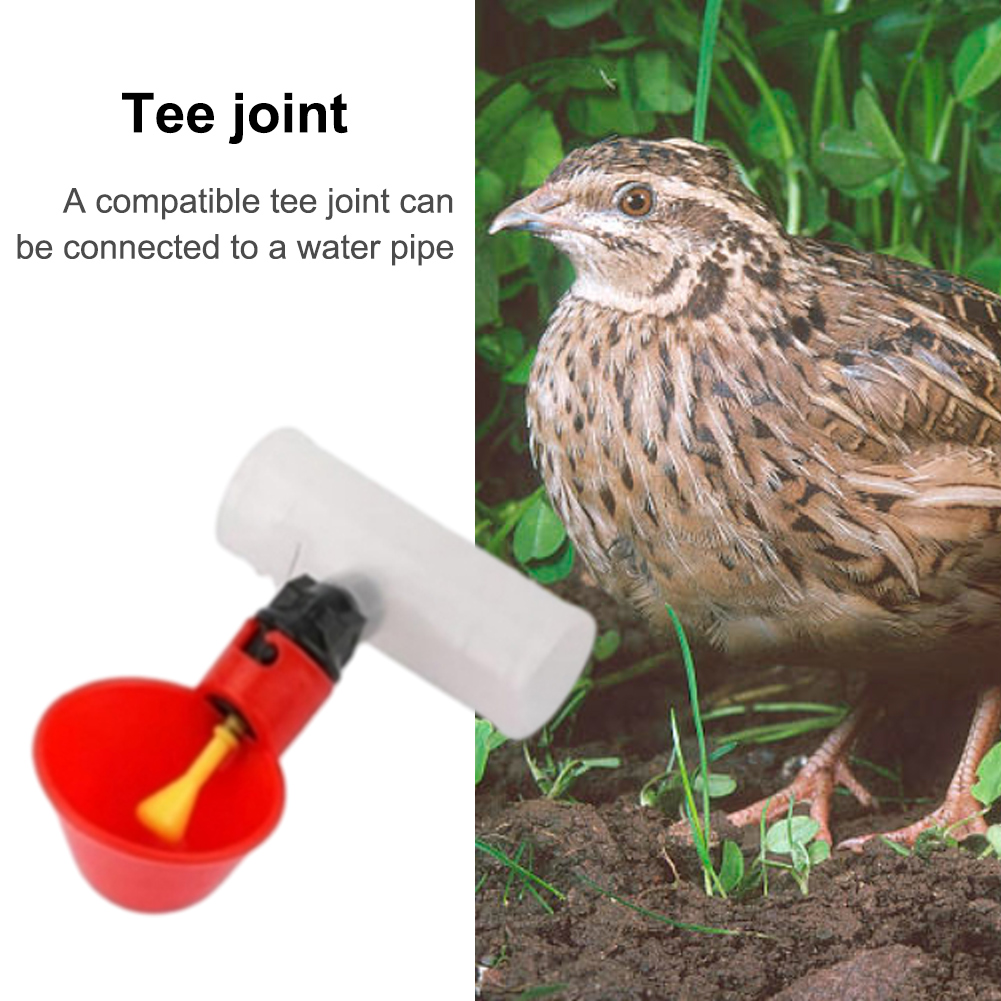 6 szt. Trójnik PVC do rur 20mm – Chicken Nipple Drinker recenzja i cena