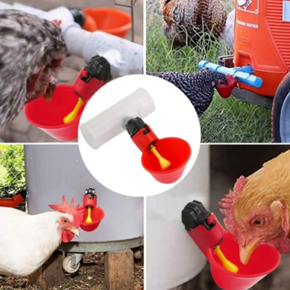 6 szt. Trójnik PVC do rur 20mm – Chicken Nipple Drinker recenzja i cena