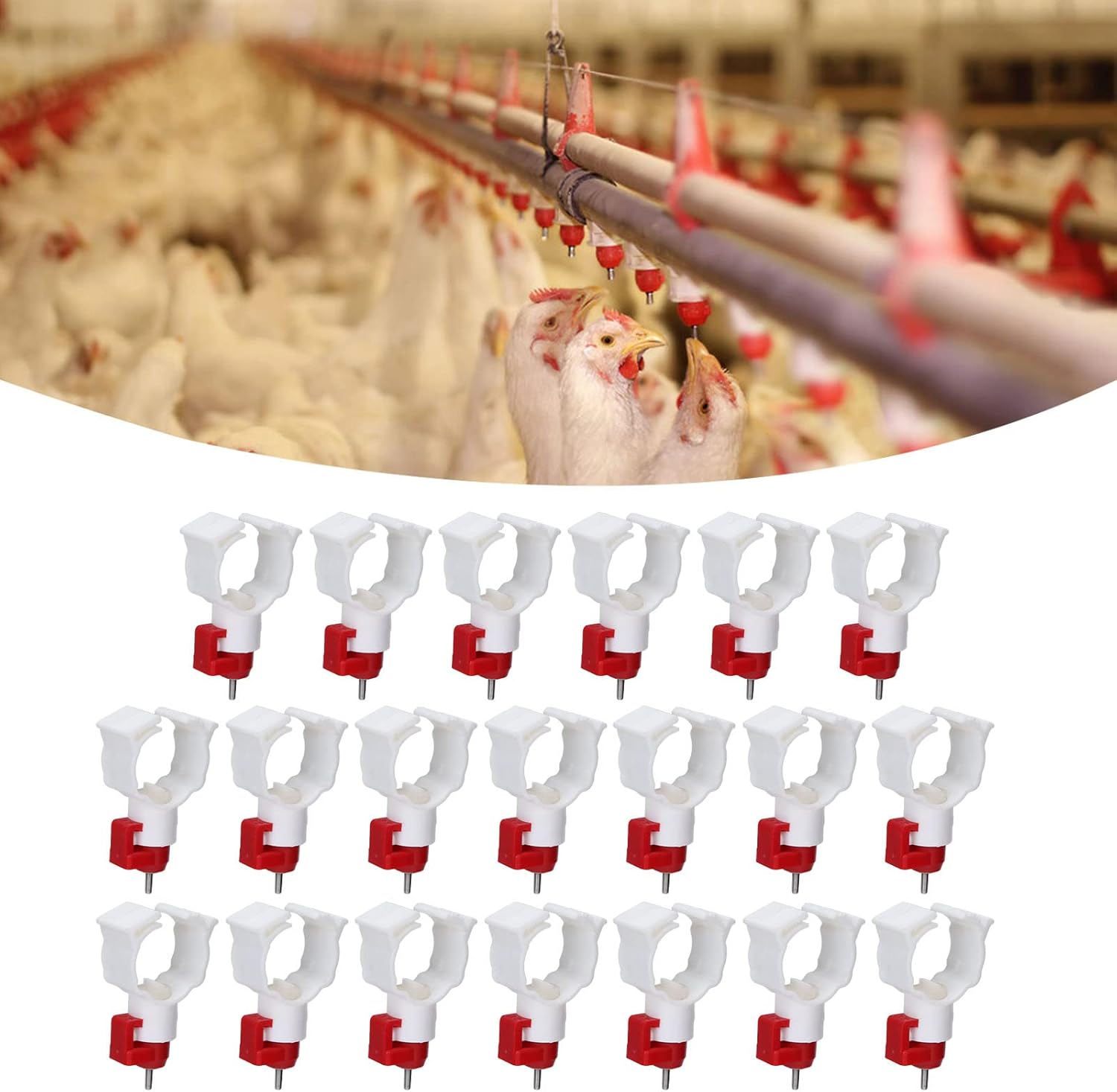 Wysokiej jakości 20 szt. Poidł – Chicken Nipple Drinker recenzja i cena