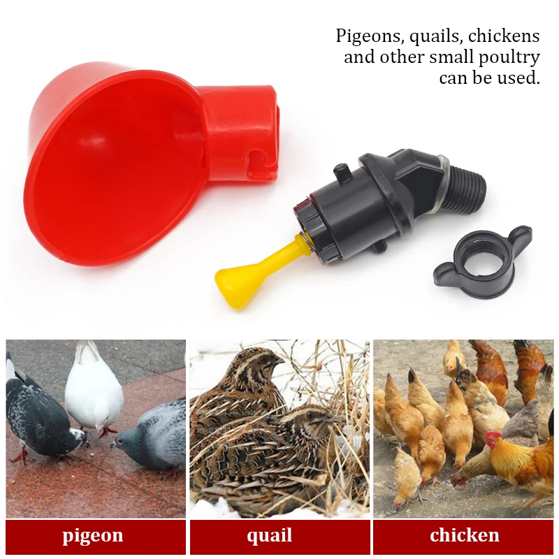 6-36 sztuk kurczak przepiórka  – Chicken Nipple Drinker recenzja i cena